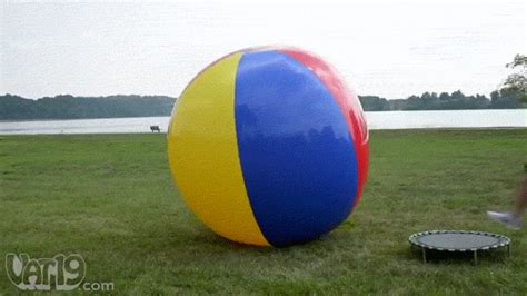 big balls gif|Giant Balls GIFs .